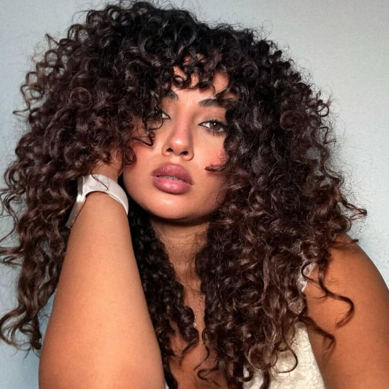 Zlike 300% Density #4 Chocolate Brown Bouncy Loose Curl Wigs 100% Human Hair Transparent Lace Front Wigs For Women